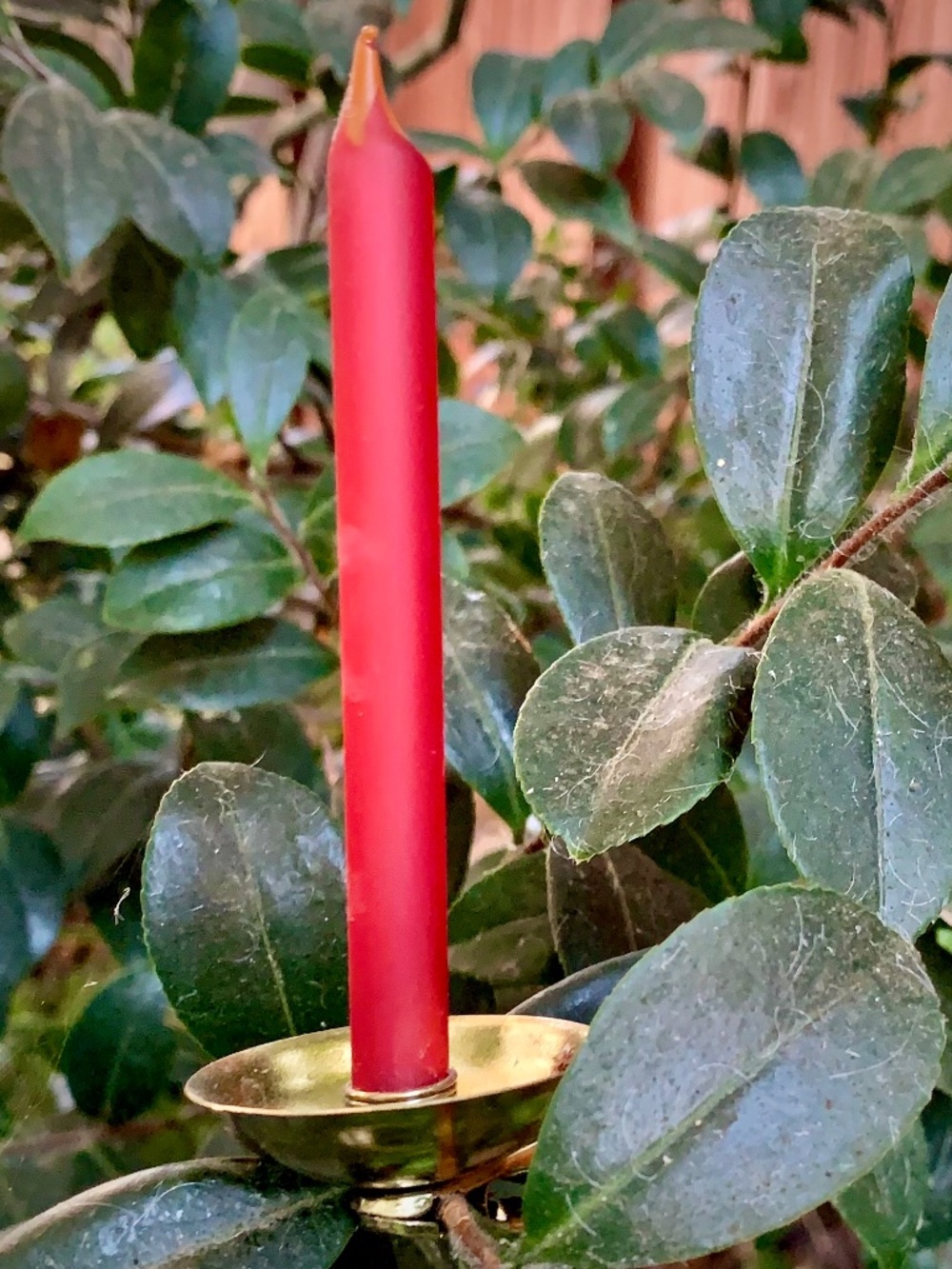 Vintage Italian Glass Clip-On Christmas Candles | Set of 12 | 1970s